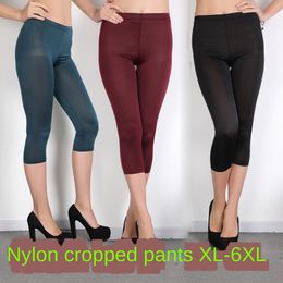 plus size tights and leggings canada