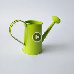 Metal Watering Cans Nz Buy New Metal Watering Cans Online From Best Sellers Dhgate New Zealand