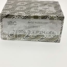 IBC Ultra-precision combined angular contact ball bearing 71909-C-T-P2H-DBL