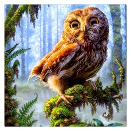 diy diamond painting cross stitch animal owl home decor 100% square drill full diamond embroidery wall art NW145 CX