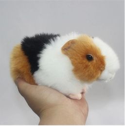 guinea pig plush toy australia