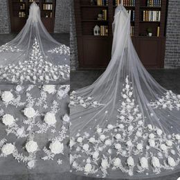 2020 New Wedding Veils Cathedral Length Bridal Veils Lace Edge with Combs Appliqued 3m Long Customized Flower Veil