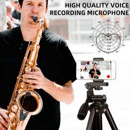 musical horns UK - Microphones Wireless Saxophone Microphone System Clip On Musical Instruments For Trumpet Sax Horn Tuba Flute Clarinet Pipe