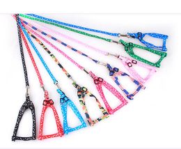 Newest 1.0*120cm Dog Harness Leashes Nylon Printed Adjustable Pet Dog Collar Puppy Cat Animals Accessories Pet Necklace Rope Tie Collar#3710