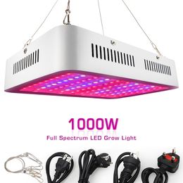 Double core LED Grow Lights 1200W 1000W Full Spectrum Tent Covered Greenhouses Lamp Plant for Veg Flowering