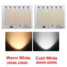 LED Lamp cob chip smart ic 220V 110V input led smd light beads for DIY floodlight outdoor lamp