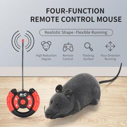remote control mouse cat toy australia