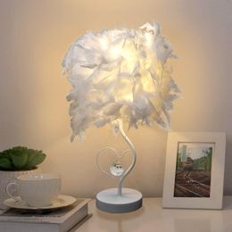 Bedside Reading Room Sitting Room Heart Shape Feather Crystal Table Lamp for Bedroom Light Art Deco Home Planetarium
