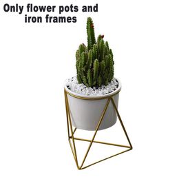 Shop Indoor Plant Pot Ceramic Uk Indoor Plant Pot Ceramic Free Delivery To Uk Dhgate Uk