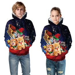 Christmas Cat Hot Sale In Europe And America 3D Digital Printing Parent-child Hooded Sweater Autumn Winter Long Sleeve Pullover