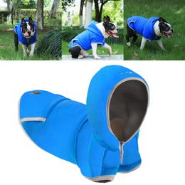 dog walking accessories uk