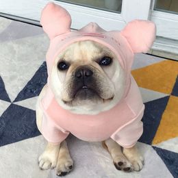 Dog Clothes Pink Pig