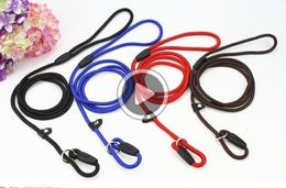 slip leads australia