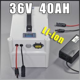 36V 40Ah 1000W 2000W High power&capacity 42V lithium battery Portable ebike electric car bicycle motor scooter with BMS