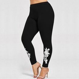plus size jeggings nz