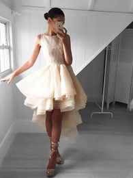 Fairy Ivory High Low Prom Dresses Round Neck Tiered Organza Lace Graduation Dresses Prom Gown Short Homecoming Evening Dresses