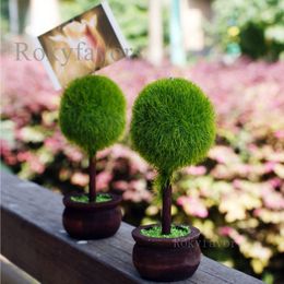 20pcs Green Topiary Place Card Holder Favours Event Party Decors Gifts Wedding Anniversary Table Reception Setting Ideas Birthday Supplies