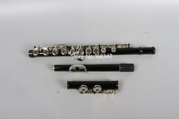 High Quality C Tone E key flute 16 hole Advance Model Close Hole nickel Key With Case Free Shipping