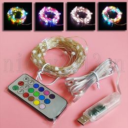 33FT 10M LED Fairy String Strip Light 5V 100LEDs Addressable RGB Magic Dream Color Change USB Remote Controller for Christmas Party Weeding