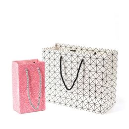 2020 New design fashion paper bag promotion/shopping/gift bag