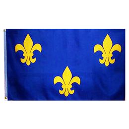 Cheap Price French lily flower Flag 3x5ft , 100D Polyester Printing Fabric Advertising flags banners,Free Shipping, Custom 3x5ft Flags