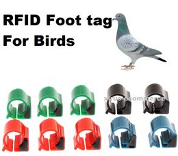 ID card pigeon foot ring TK4100 ID card animal tag low frequency 125KHZ pigeon foot ring RFID electronic tag