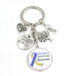 Wholesale cancer keychain Cabochon Blue and Yellow Ribbon Down Syndrom Awareness Jewellery Never give up hope Charms Keychain Keyrings Gift