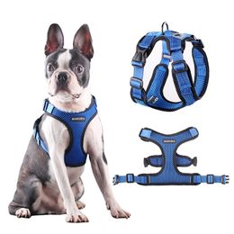 Cat Walking Vest Harness Nz Buy New Cat Walking Vest Harness Online From Best Sellers Dhgate New Zealand