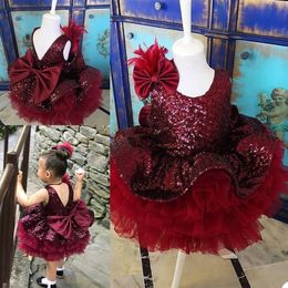 New Arrival Burgundy Puffy Skirt Girl's Pageant Dresses with Sequins Big Bow Sash Girls Birthday Party Gowns