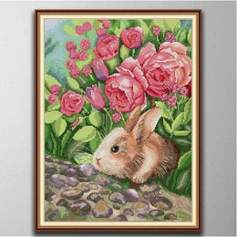 The rabbit is smelling Handmade Cross Stitch Craft Tools Embroidery Needlework sets counted print on canvas DMC 14CT /11CT