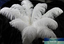 100pc 10-12inch 25-30cm White Ostrich Feather Plumes for Wedding Centrepiece Wedding Party Event Decor Festive Decoration