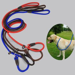 1.4m Dog Pet Puppy Nylon Rope Training Leash Slip Lead Strap Collar Pet Animals Rope Supplies Accessories KKA8077