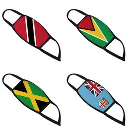 3D printed wind Trinidad Guyana Jamaica Fiji Flag and dust respirator designer face mask cross-border breathable face masks