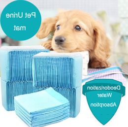 super absorbent dog diapers UK - Wholesalers Quicker Dry Pet Pads Healthy Pet Mats Dog Cat Diaper Super Absorbent House Polyme Pet Diaper Pañal Para Mascotas