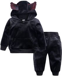 Kids Tracksuit Boys Girls 2Pcs Velvet Hooded Tracksuit Top + Sweatpants Outfits Set(12M-7T)