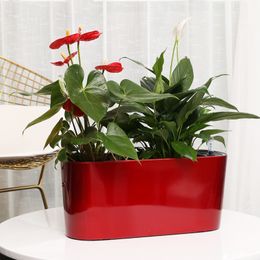 Cube lazy self - absorbent water visual creative personality paint plastic flower pot for home and garden Y200709