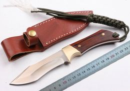 1Pcs High End D2 steel Fixed blade Survival Straight knife Tanto Point Satin finish Blades Outdoor camping hiking hunting Knives with leather shea