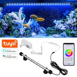 Tuya Smart Aquarium Light RGB Wi-Fi LED Tanque de Peixe Luz Subaquática Peixes Lâmpada Tubo Aquários Decoração Iluminação Planta Crescimento Lâmpada W220304