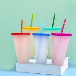 24oz Colour Changing Cup Magic Plastic Drinking Tumblers with Lid and Straw Reusable Clear Colours Cold Cup Summer Beer Mugs T500344