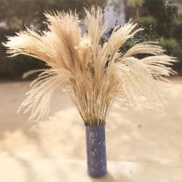 Natural Dried Plants Wedding Background Decor Display Artificial Flowers For Party Stage Setting Outside Decoration Reed Plants