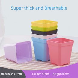 Wholesale super thick plastic Colourful small square pots for indoor living room balcony office succulent flower seedling | Kraflo Garden