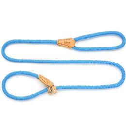 Pet Cat Dog Leash Collar Integrated Round Rope Rustless Buckle Traction Rope Dogs Collars Leather for Small and Medium Pets LJ201111