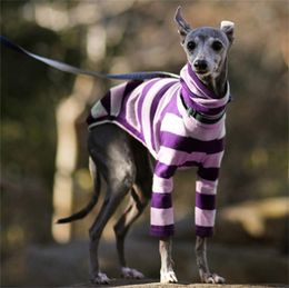 Stripe ad alto collegamento Animali vestiti Personalità Pet Dog Accessori Accessori Hound Cappotti Due maniche lunghe Cappotto di cappotto morbido Forniture da cani Vendita calda 23 mA F2