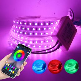 110v rope lights Canada - LED Strips Lights Kits, Bluetooth 110V 220V RGB 5050 Waterproof LEDs Tape Rope Light for Home Outdoor, Works with Music Time APP Control