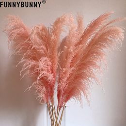 spike pieces UK - FUNNYBUNNY 1PC Pink Reed Trumpet Reed Dried Flower Flower Spikes Dried Flowers Luxury Home Decor Love Gift Center Pieces T200103