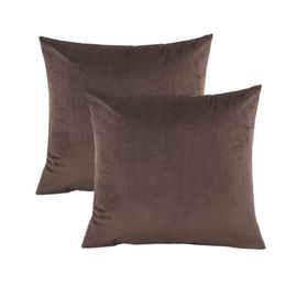 Fyjafon 2pcs Pillowcase 60x60 Velvet Cushion Cover Pure Colour Soft Pillow Case Living room Decorative Pillowcases 50x50/55x55 201212