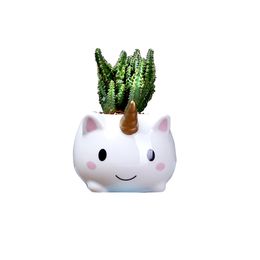 Unicorn Plant Pots, Cute Animal Shaped Cartoon Succulent Vase Flower Pots,Container,Home Decoration Planter Pots Home Decoration C0125