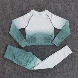 2PCS Ombre Seamless Women Sports Suit Gym Leggings Workout Clothes Long Sleeve Fitness Crop Top Shirts Pants Yoga Set Tracksuit T200115