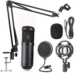 Professional Cardioid Studio Condenser Mic Include Adjustable Suspension Scissor Arm Stand, Shock Mount and Pop Philtre