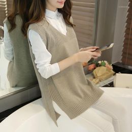 Women's Sweaters Wholesale-2021 Autumn O-Neck Sleeveless Women Sweater Vest Female Korean Casual Cashmere Knitted Waistcoat Femininas1